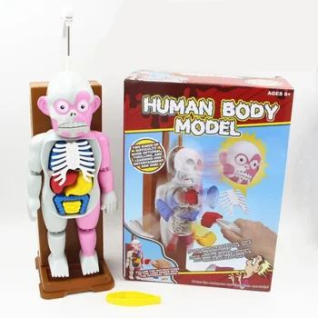 [Забавно] Новинка, игрушка-кляп, анатомия человека, трюк, шутка, подарок для детей, собранные игрушки, забавные игры, модель человеческого тела террориста, 3D пазлы